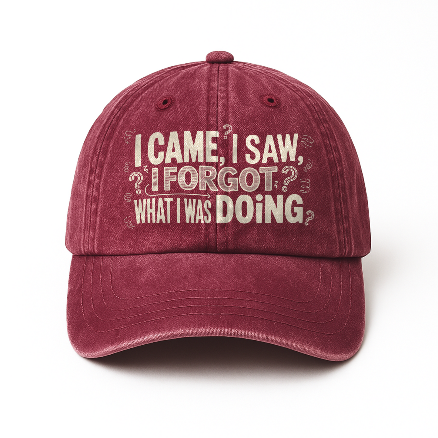 “I Came, I Saw, I Forgot What I Was Doing” Boomer Pop Comic Story Cap