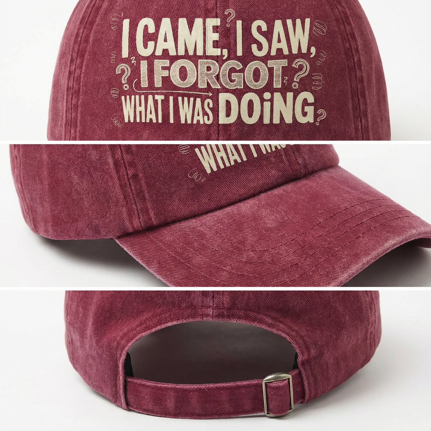 The "Senior Moment" Cap - I Came, I Saw, I Forgot