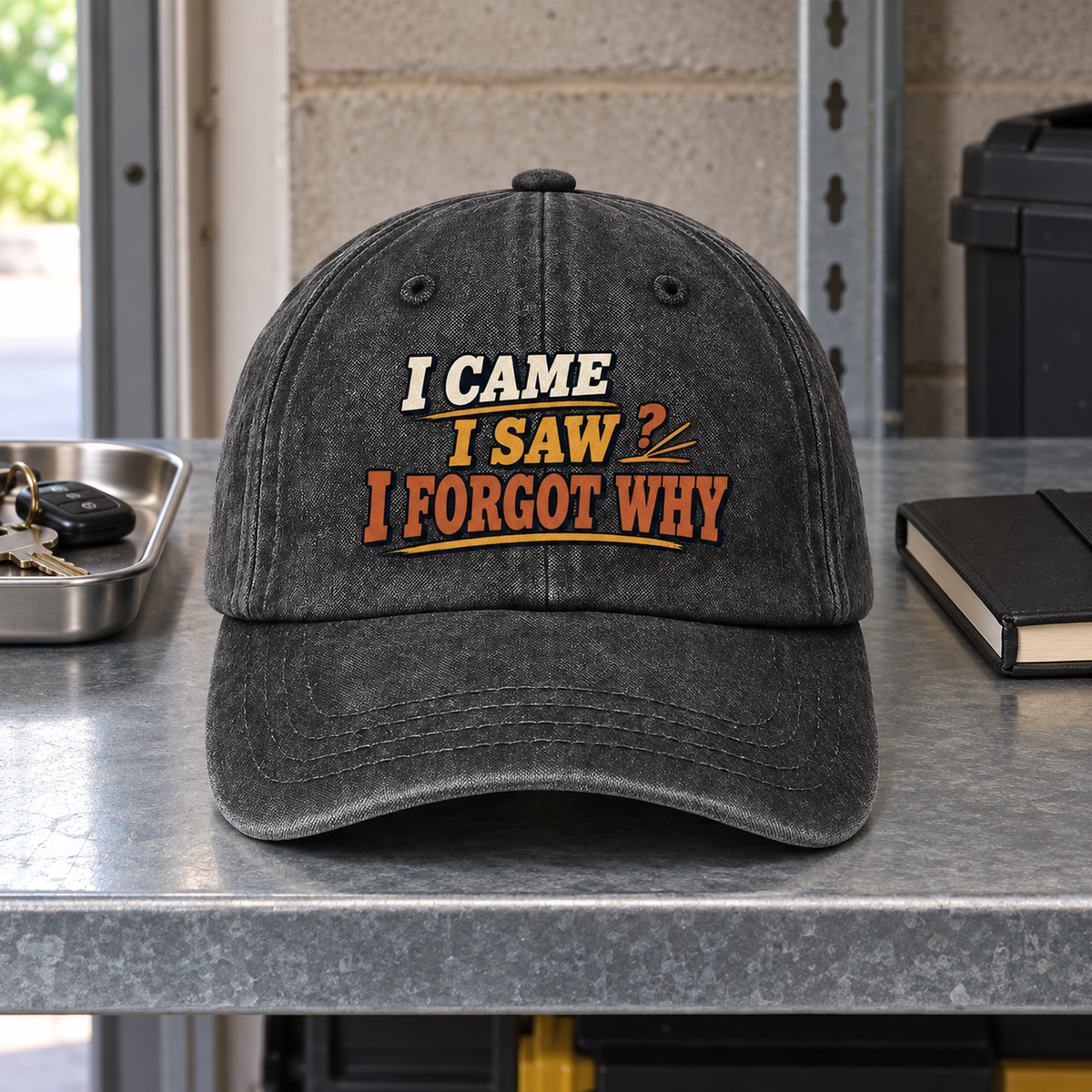 "I Came I Saw I Forgot Why" Vintage Washed Cap