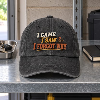 "I Came I Saw I Forgot Why" Vintage Washed Cap