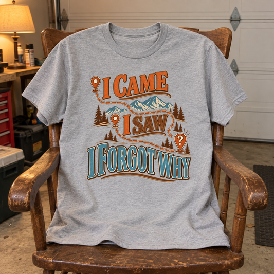Gray vintage t-shirt with printed I Came I Saw I Forgot Why mountain design
