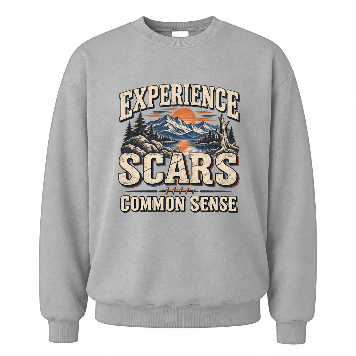 Sport Grey vintage sweatshirt with Experience Scars. Common Sense printed front design