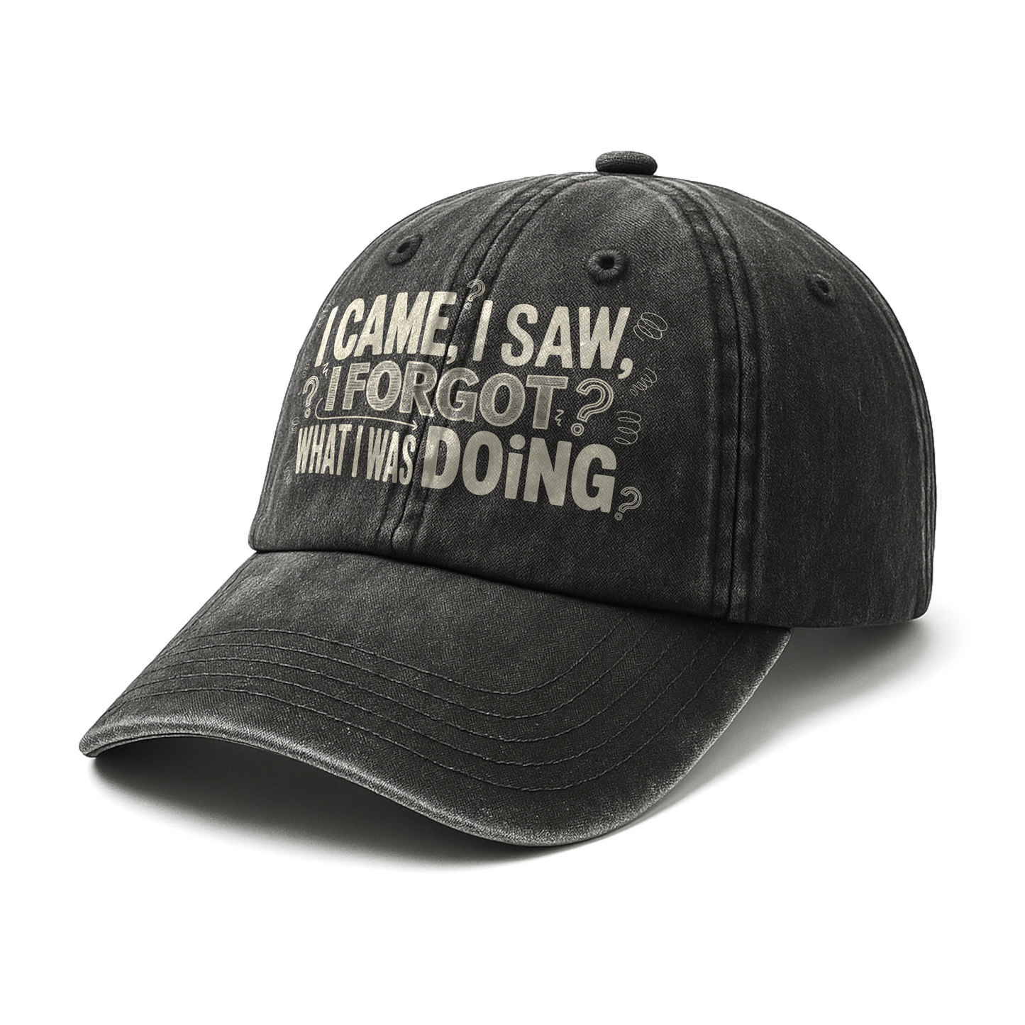 “I Came, I Saw, I Forgot What I Was Doing” Boomer Pop Comic Story Cap