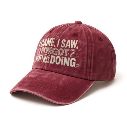 “I Came, I Saw, I Forgot What I Was Doing” Boomer Pop Comic Story Cap
