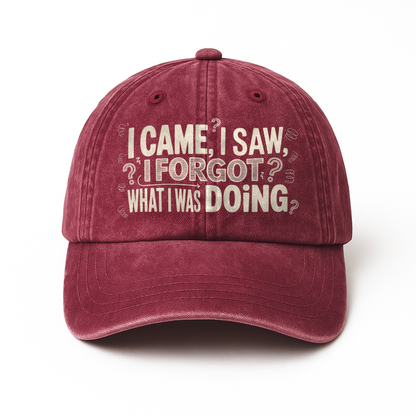 “I Came, I Saw, I Forgot What I Was Doing” Boomer Pop Comic Story Cap