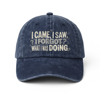 “I Came, I Saw, I Forgot What I Was Doing” Boomer Pop Comic Story Cap