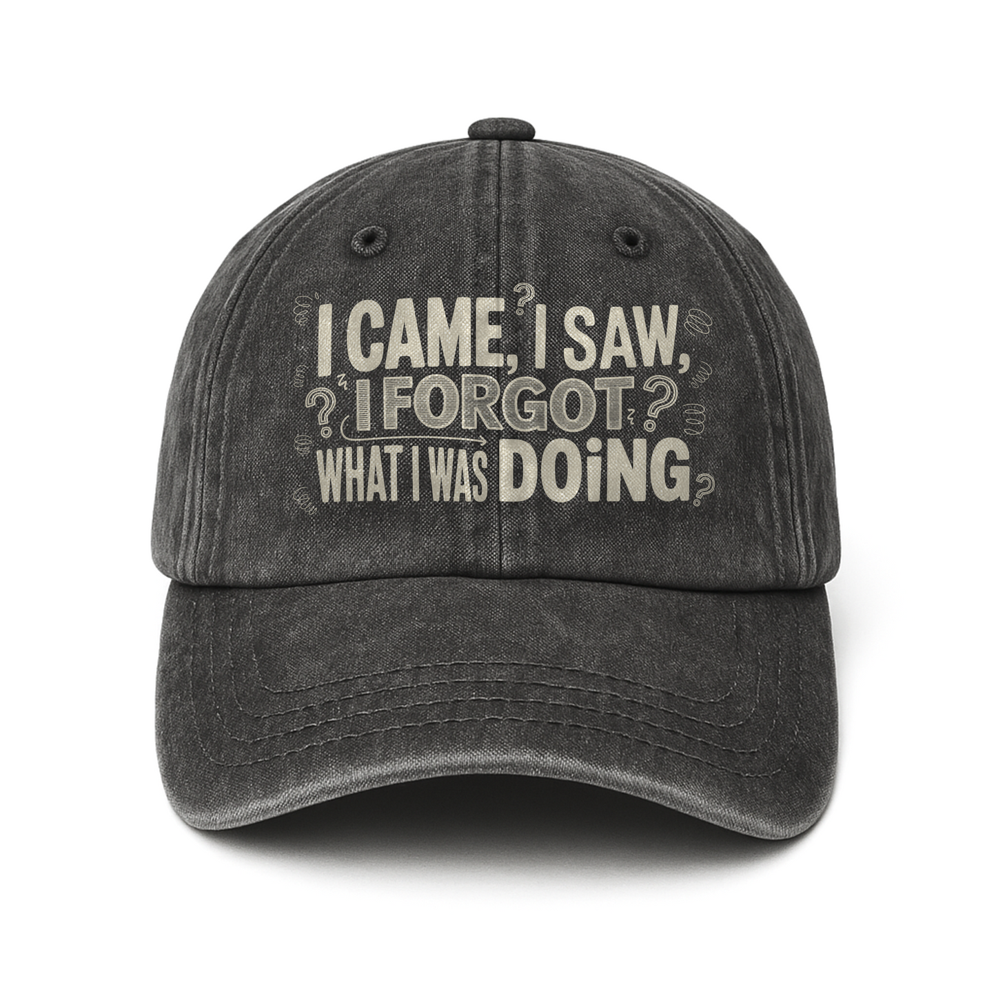 “I Came, I Saw, I Forgot What I Was Doing” Boomer Pop Comic Story Cap