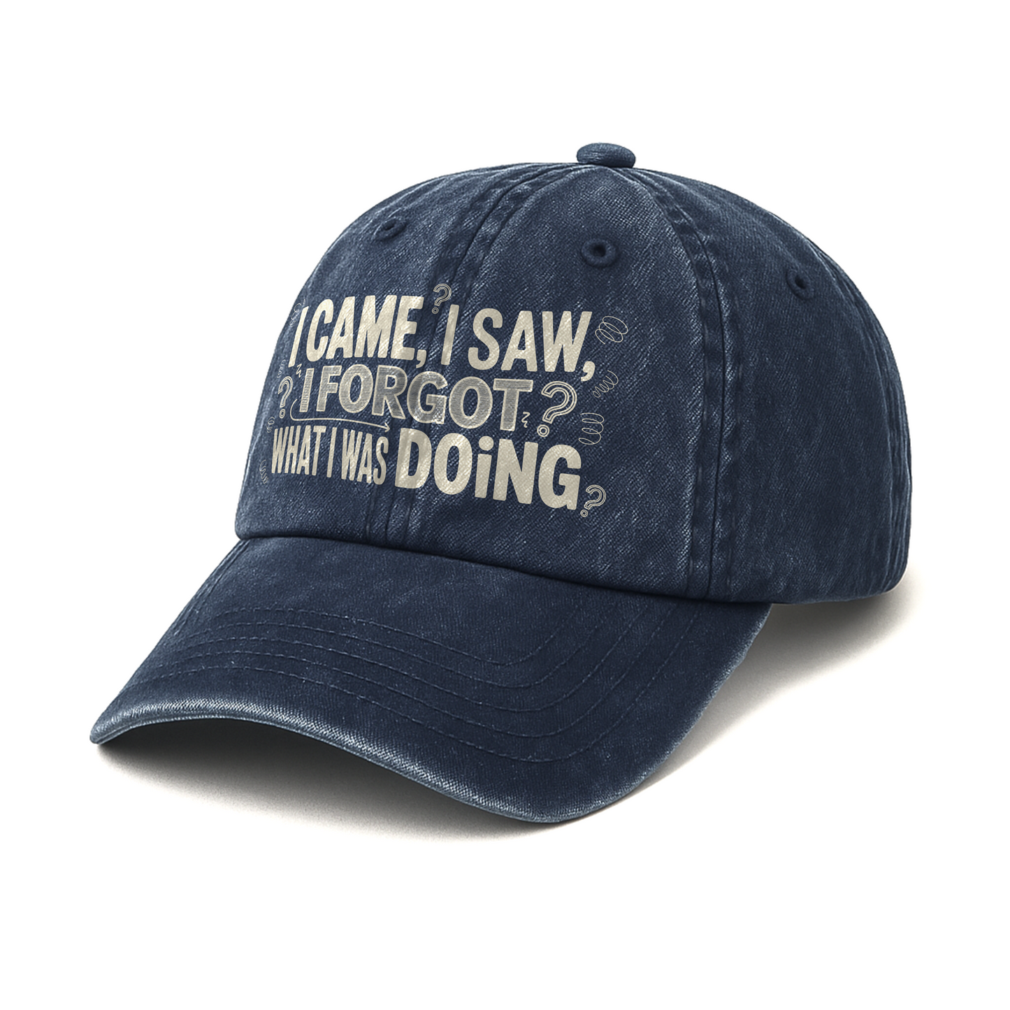 “I Came, I Saw, I Forgot What I Was Doing” Boomer Pop Comic Story Cap